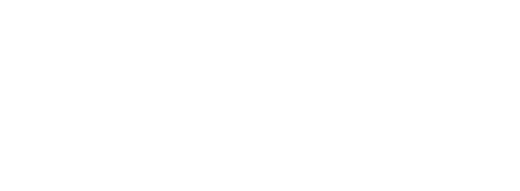 Nicarmix