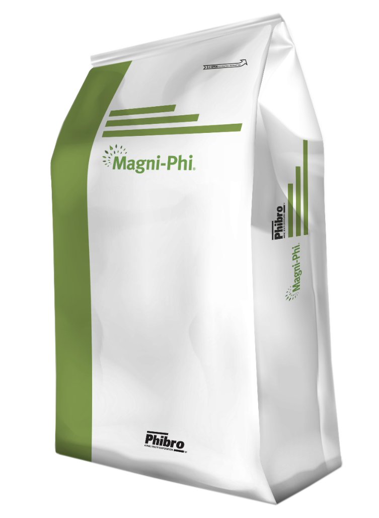 Magni-Phi
