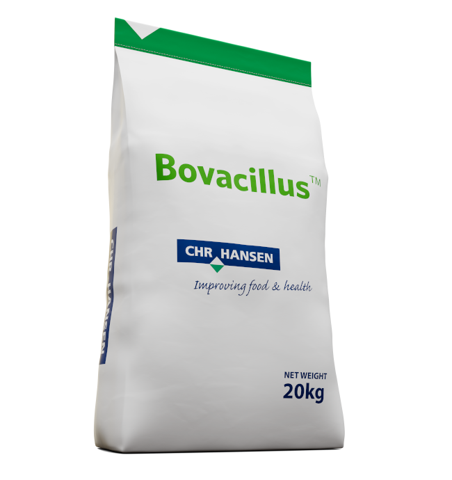 Bovacillus™ Bovacillus™